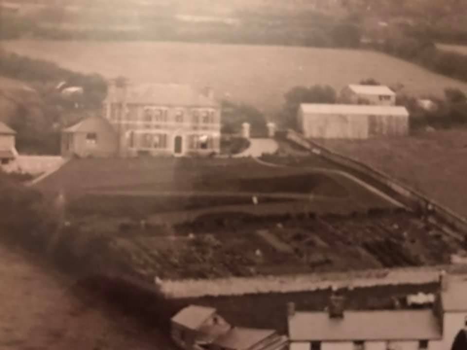 100 Objects 19: Pimbury