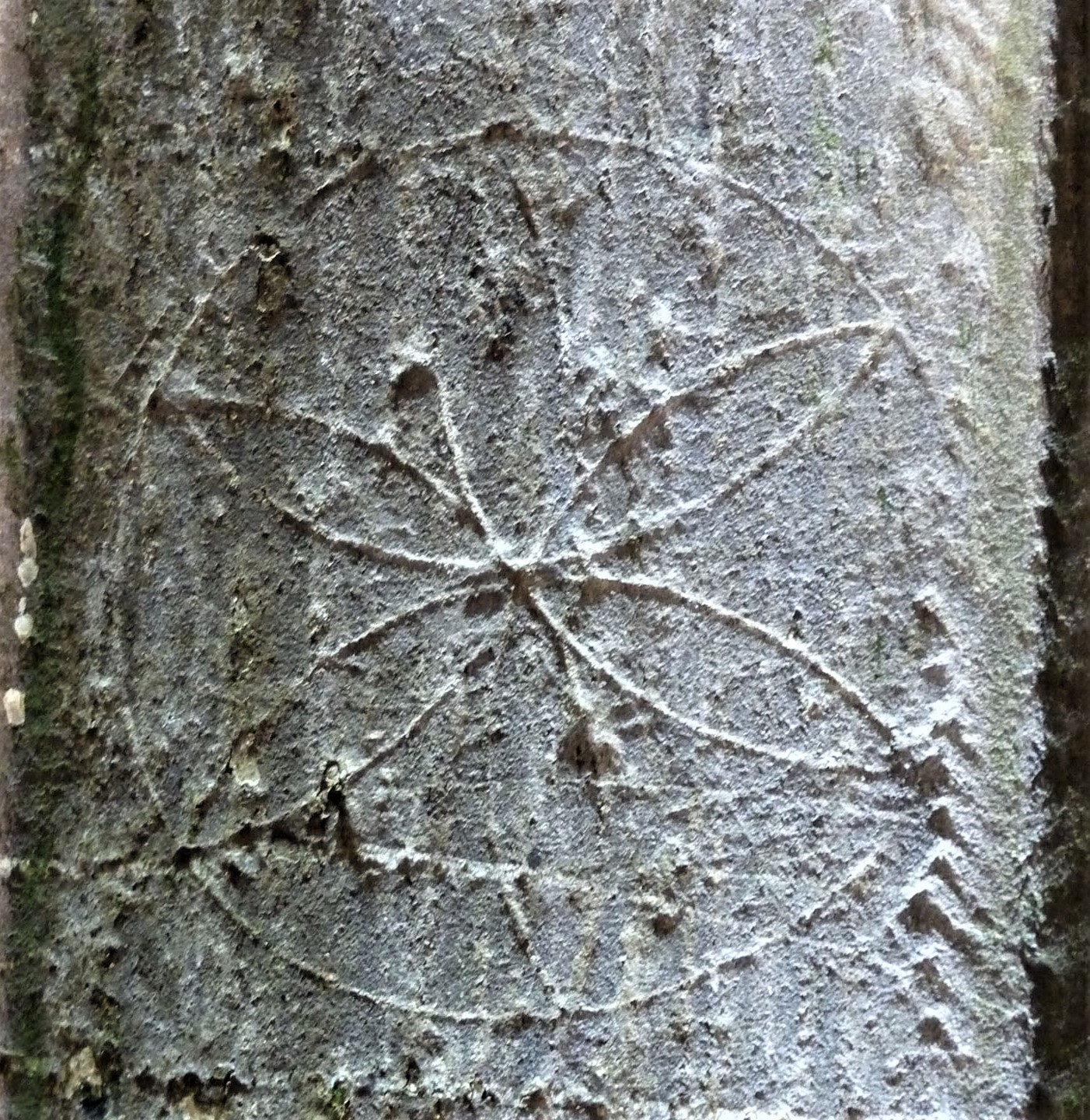 100 Objects 24: Inscribed daisy wheel. St Petrock’s Church