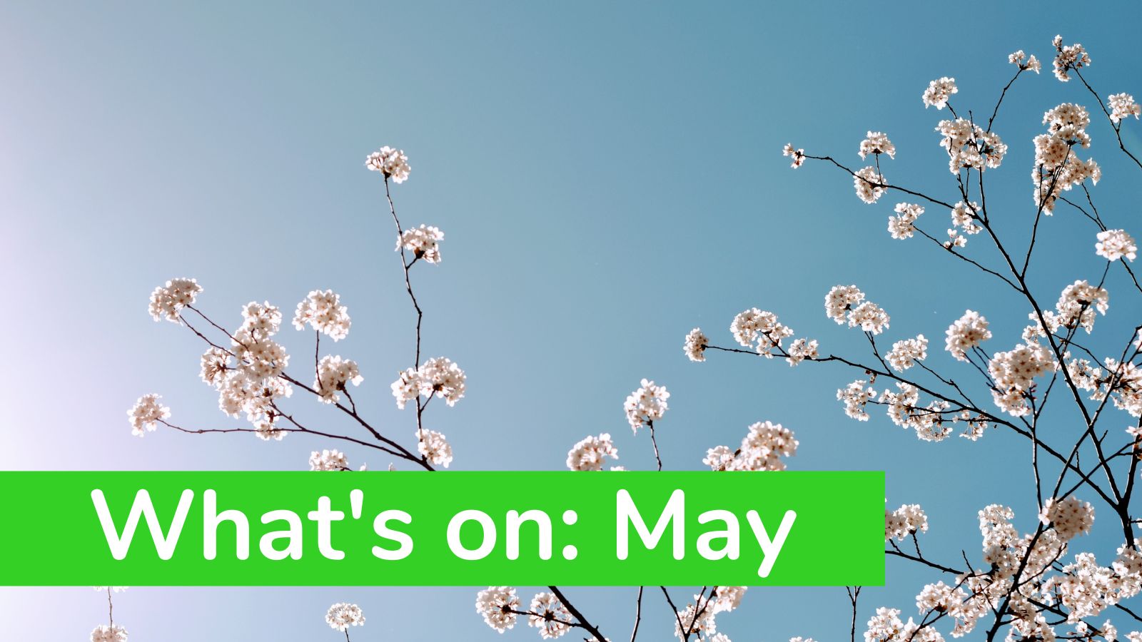 What's On: May