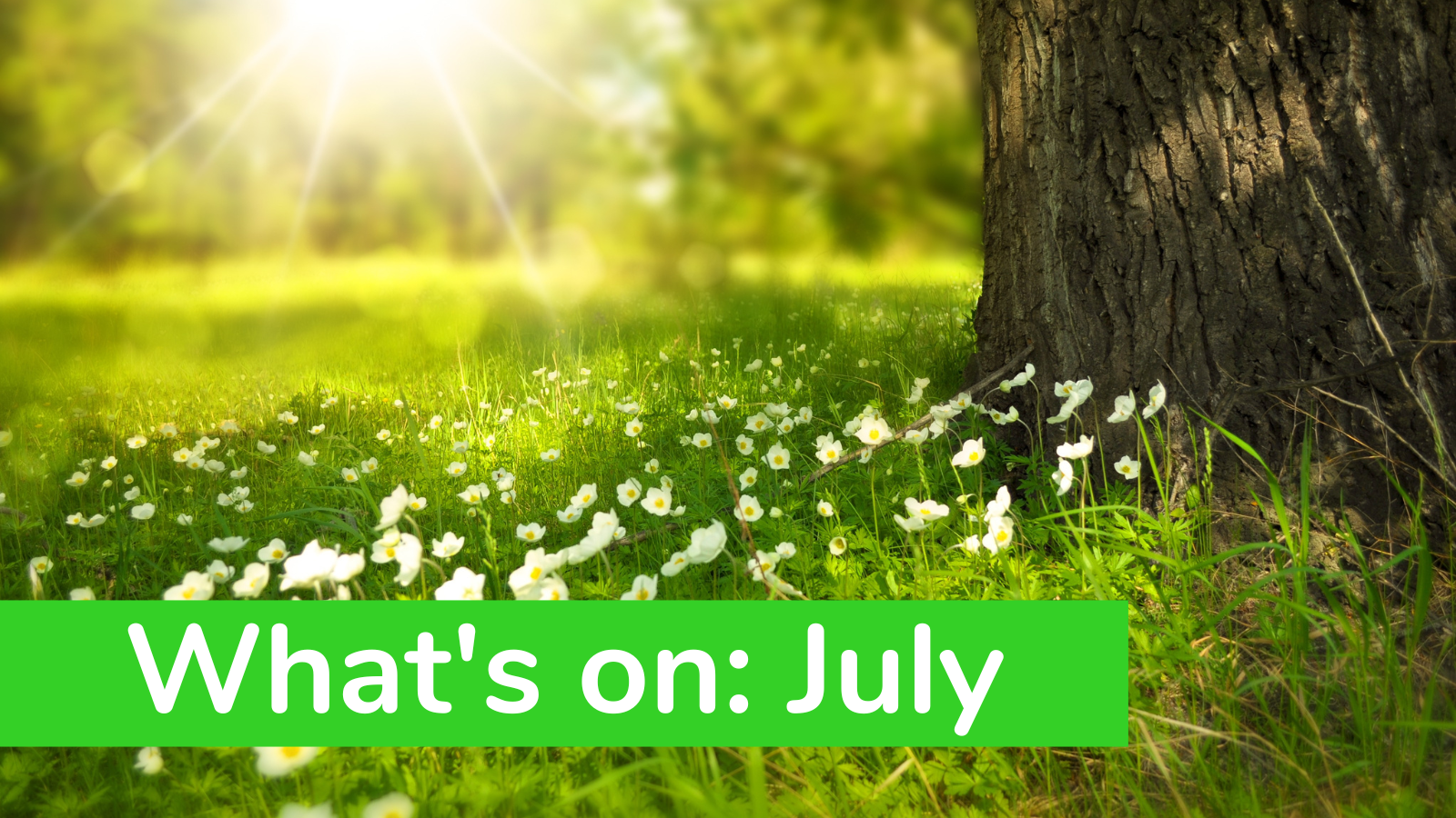 What's On July