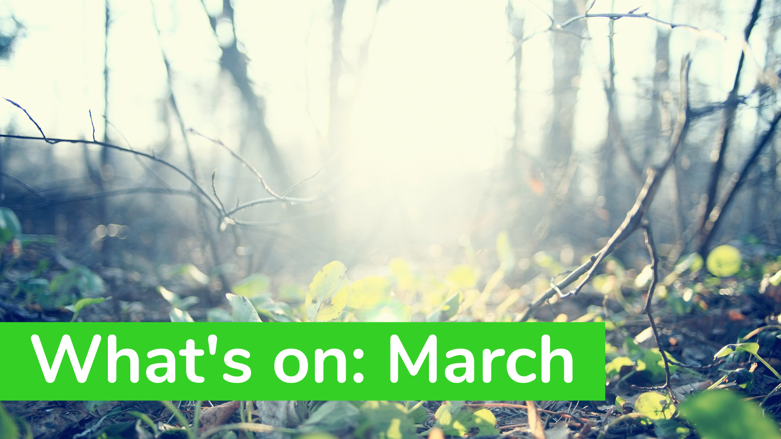 What’s On: March