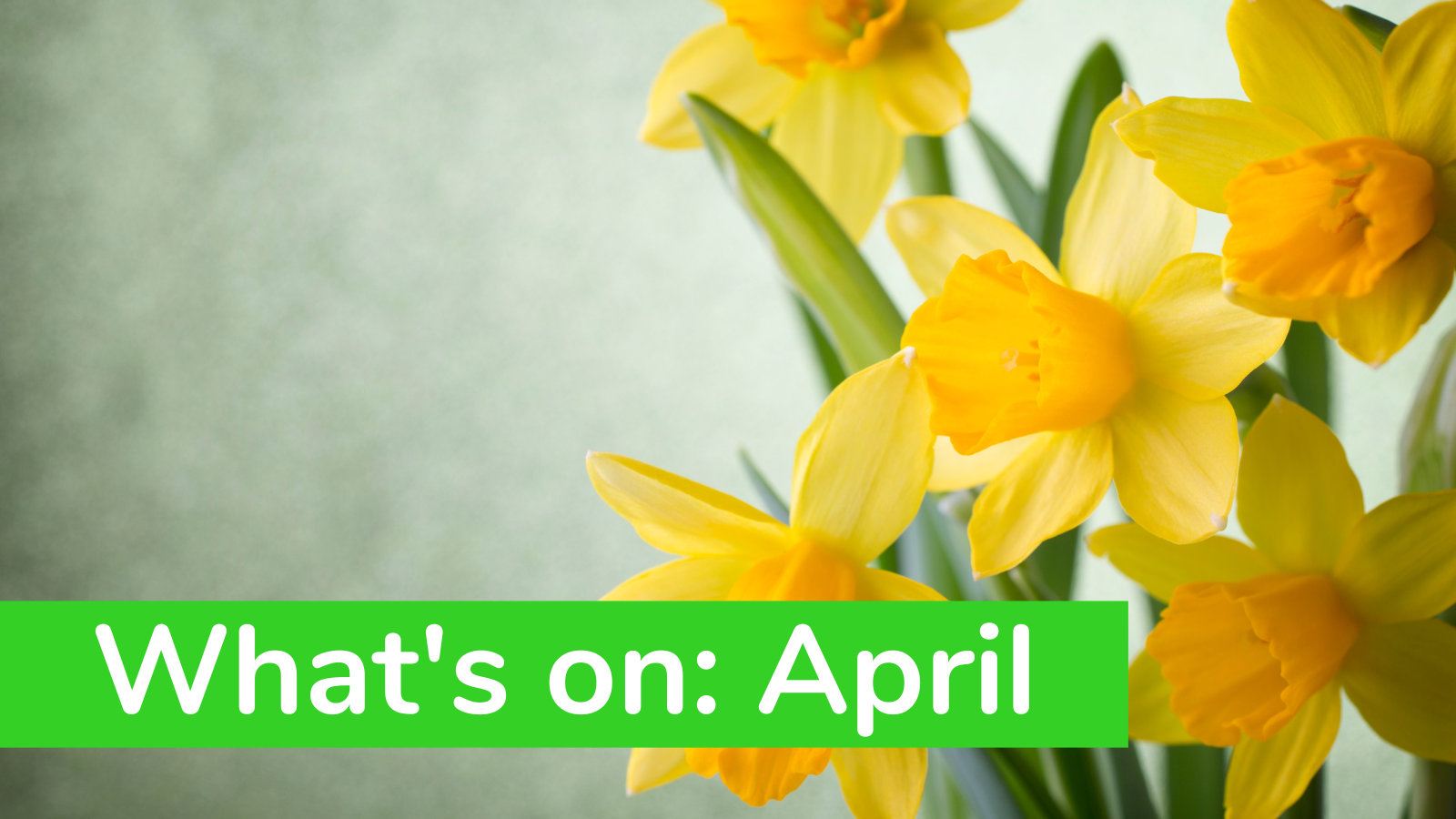 What’s On: April