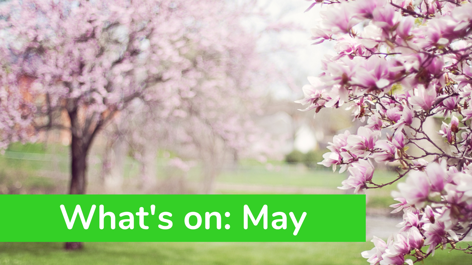 What’s On: May