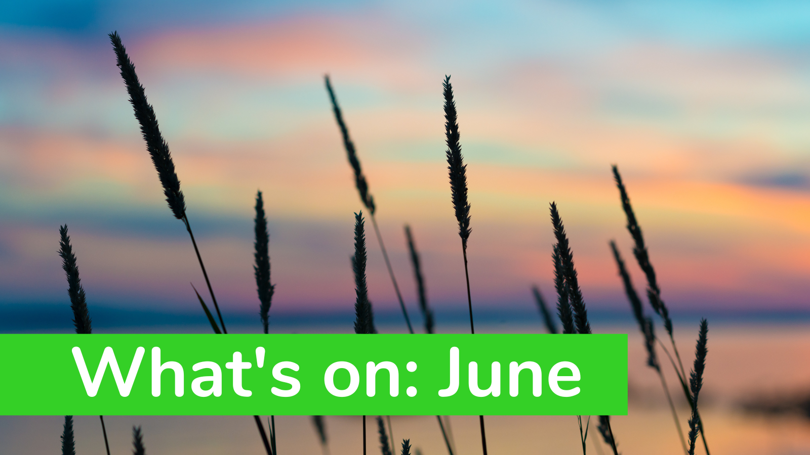 What’s On: June
