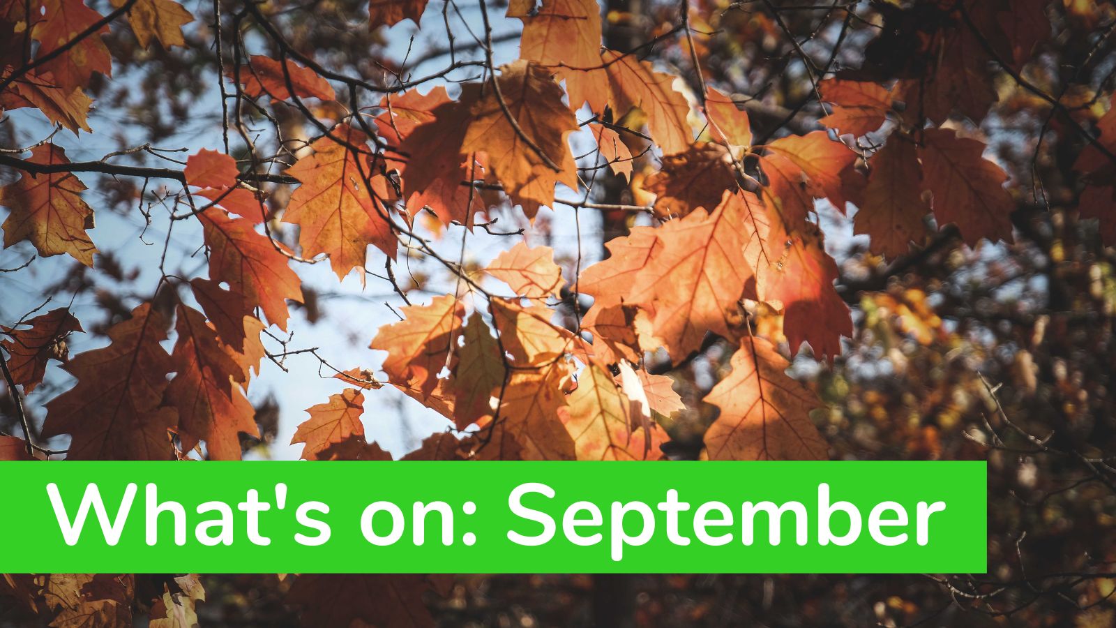 What’s On: September