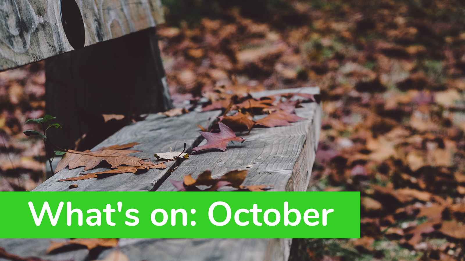 What’s On: October